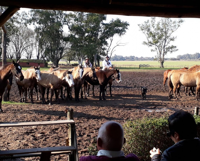 10 20170713_152230 (Large)