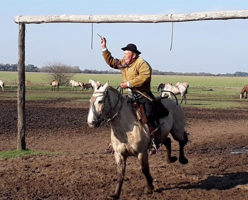 12 20170713_152841 (Large)