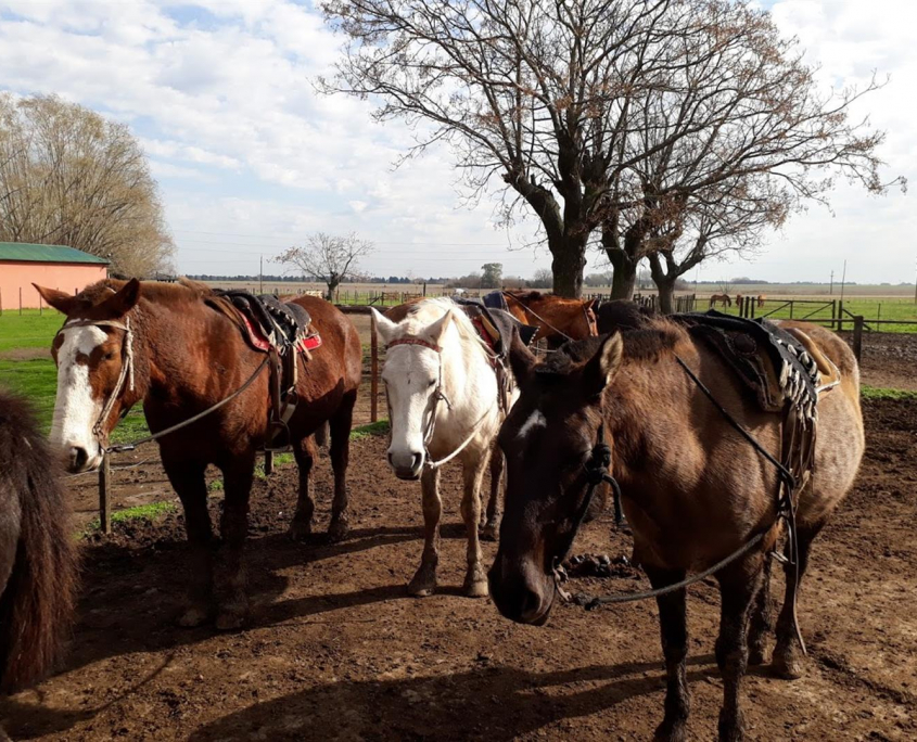 3 20170713_122727 (Large)