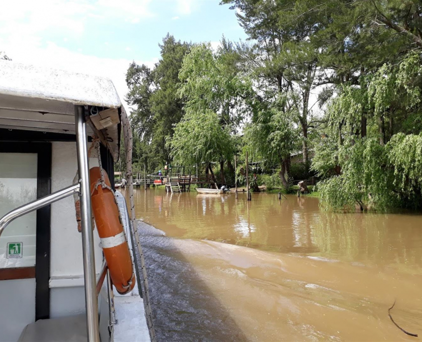 7 20171011_140134 (Large)