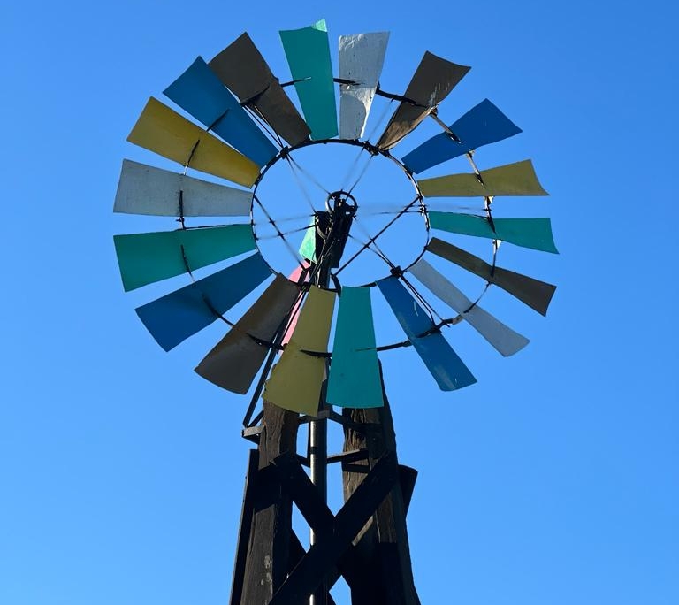 WhatsApp Image 2023-12-07 at 16.26.13 (1)